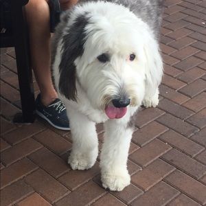 Meet your Posher, Taylor